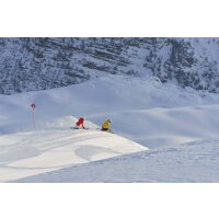 2 days group lessons ski